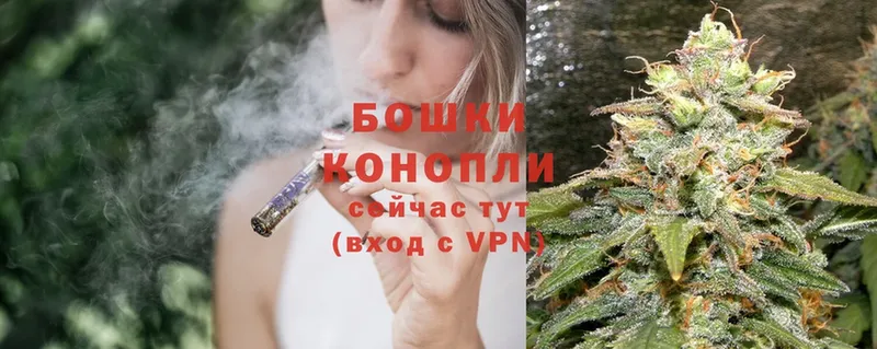 сколько стоит  Камышин  Каннабис SATIVA & INDICA 